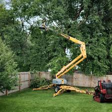 Best Hazardous Tree Removal  in Thompsons Station, TN