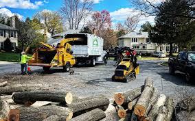 Lawn Drainage Solutions in Thompsons Station, TN