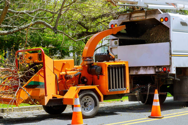 Best Aeration Services  in Thompsons Station, TN
