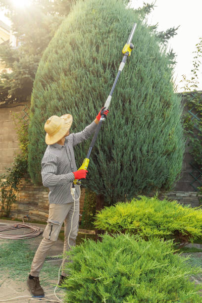 Best Lawn Watering Services  in Thompsons Station, TN